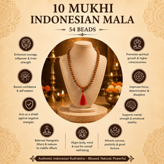 10 Mukhi Indonesian Rudraksha 108 Bead Mala