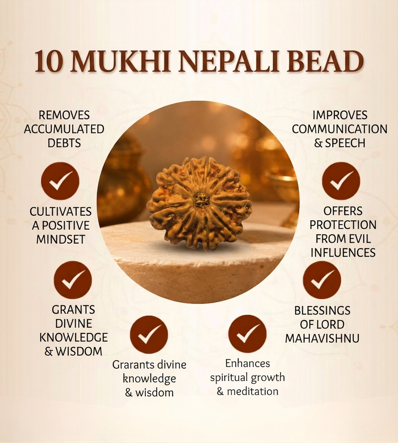 10 Mukhi Nepali Rudraksha Bead for Protection & Stability