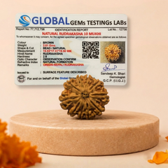 10 Mukhi Nepali Rudraksha Bead for Protection & Stability