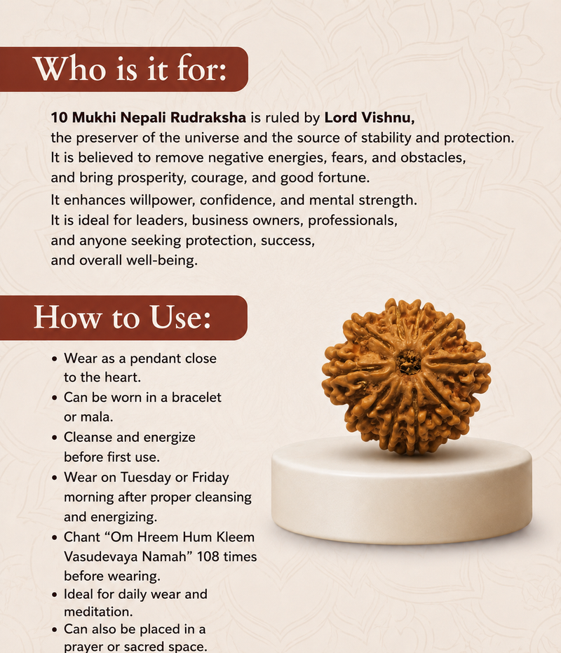 10 Mukhi Nepali Rudraksha Bead for Protection & Stability