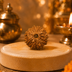 11 Mukhi Nepali Rudraksha Bead for Spiritual Wisdom & Focus