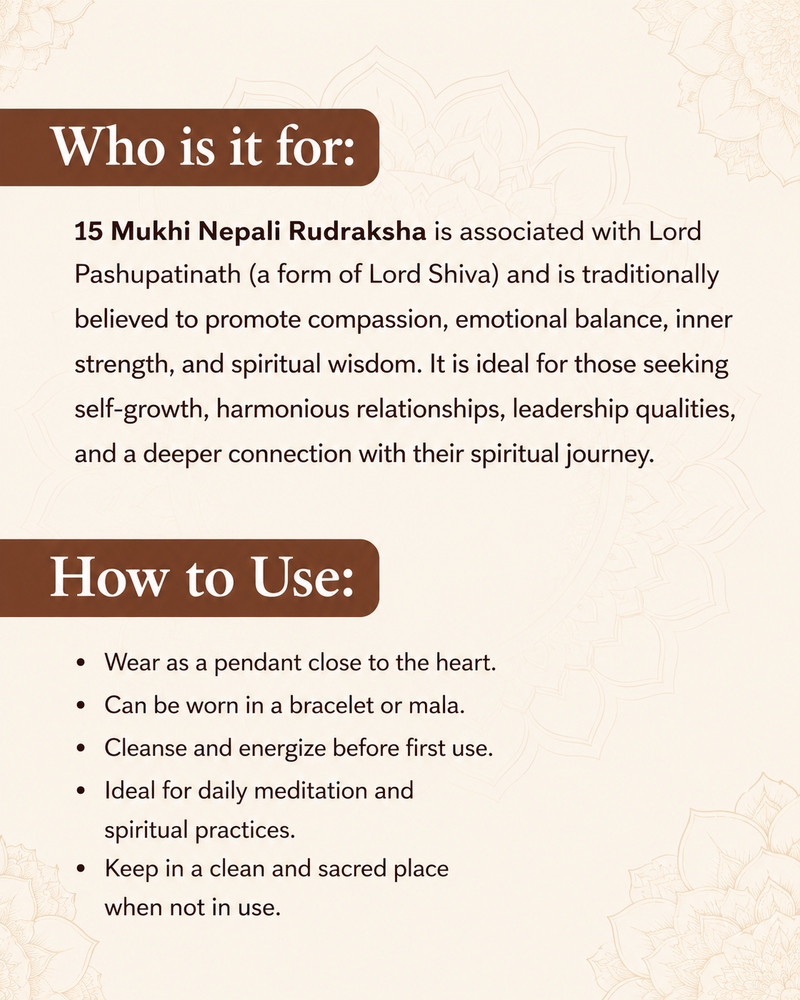 15 Mukhi Nepali Rudraksha for Healing, Love & Spiritual Growth