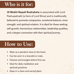 15 Mukhi Nepali Rudraksha for Healing, Love & Spiritual Growth