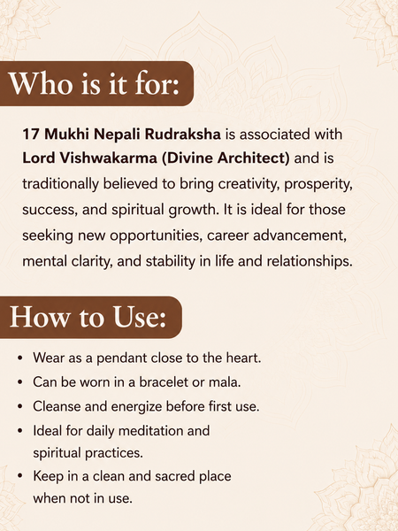 17 Mukhi Nepali Rudraksha for Prosperity & Success