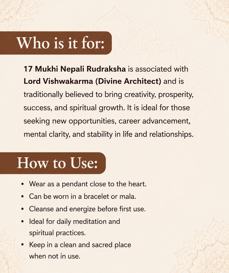 17 Mukhi Nepali Rudraksha for Wealth & Prosperity