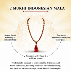 2 Mukhi Indonesian Rudraksha Bead Mala (GGTL Certified)