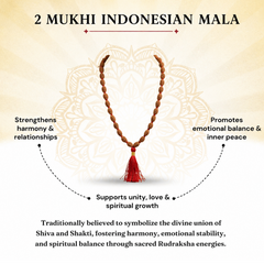 2 Mukhi Indonesian Rudraksha Bead Mala (GGTL Certified)