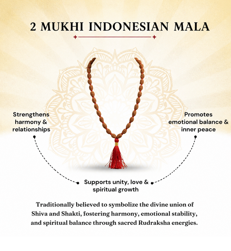2 Mukhi Indonesian Rudraksha Bead Mala (GGTL Certified)