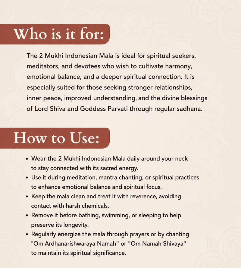 2 Mukhi Indonesian Rudraksha Bead Mala (GGTL Certified)