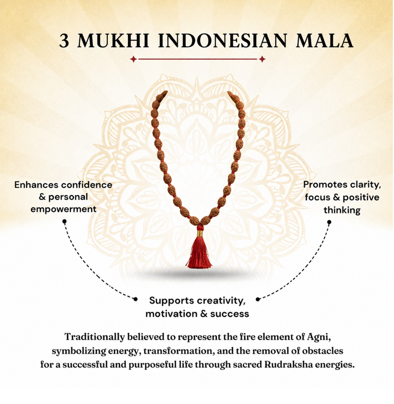 3 Mukhi Indonesian Rudraksha Beaded Mala