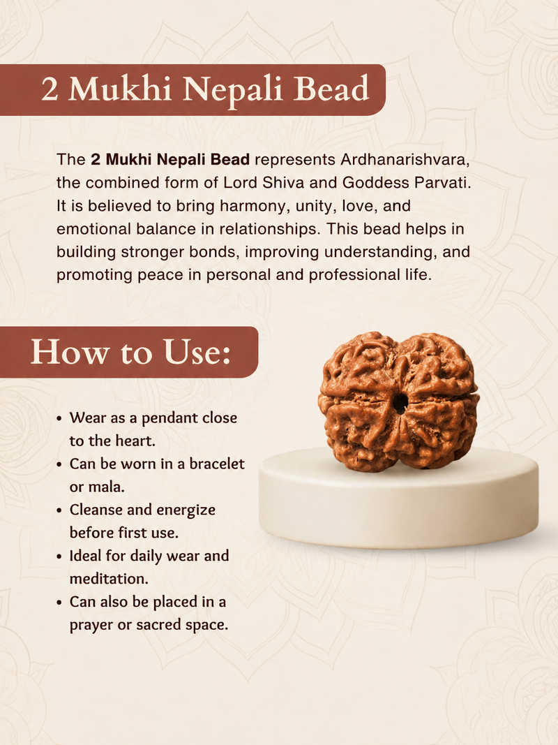 2 Mukhi Nepali Rudraksha Bead for Relationship Harmony