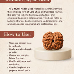 2 Mukhi Nepali Rudraksha Bead for Relationship Harmony