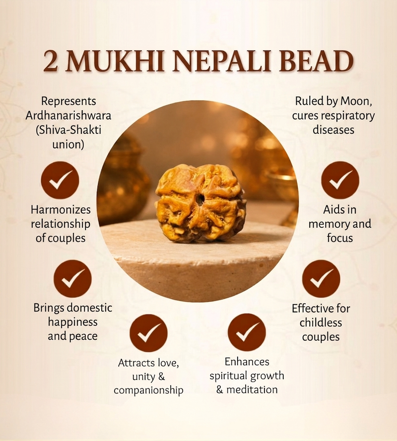 2 Mukhi Nepali Rudraksha Bead for Relationship Harmony