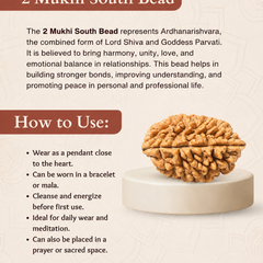 2 Mukhi South Indian Rudraksha for Harmony & Unity