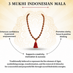 3 Mukhi Nepali Rudraksha Mala 54 Beads Certified