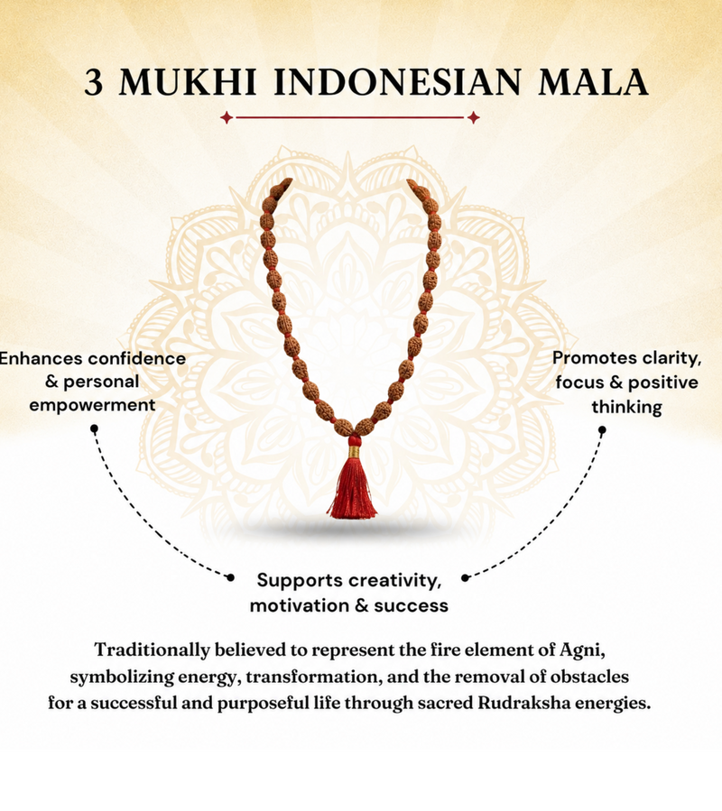 3 Mukhi Nepali Rudraksha Mala 54 Beads Certified
