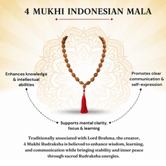 4 Mukhi Indonesian Rudraksha Beaded Mala