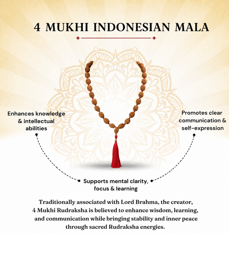 4 Mukhi Indonesian Rudraksha Beaded Mala