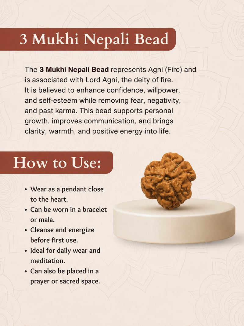 3 Mukhi Nepali Rudraksha for Confidence & Positive Energy