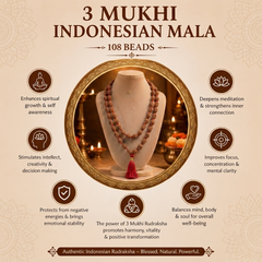 3 Mukhi Indonesian Rudraksha Beaded Mala