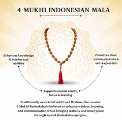 4 Mukhi Indonesian Rudraksha Beaded Mala