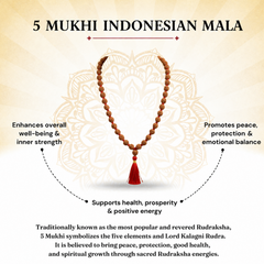 5 Mukhi Indonesian Rudraksha 108 Bead Mala