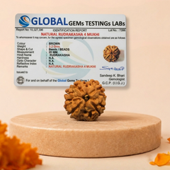 4 Mukhi Nepali Rudraksha for Knowledge & Creativity