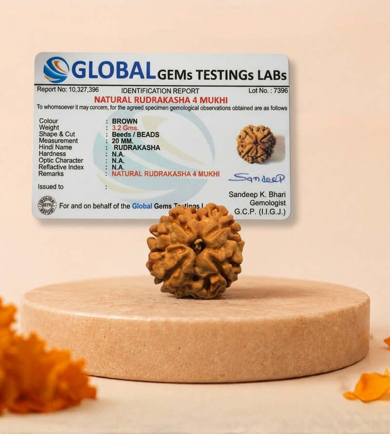 4 Mukhi Nepali Rudraksha for Knowledge & Creativity