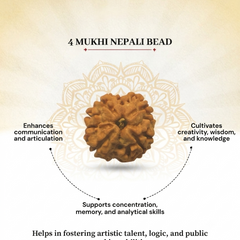 4 Mukhi Nepali Rudraksha for Knowledge & Creativity