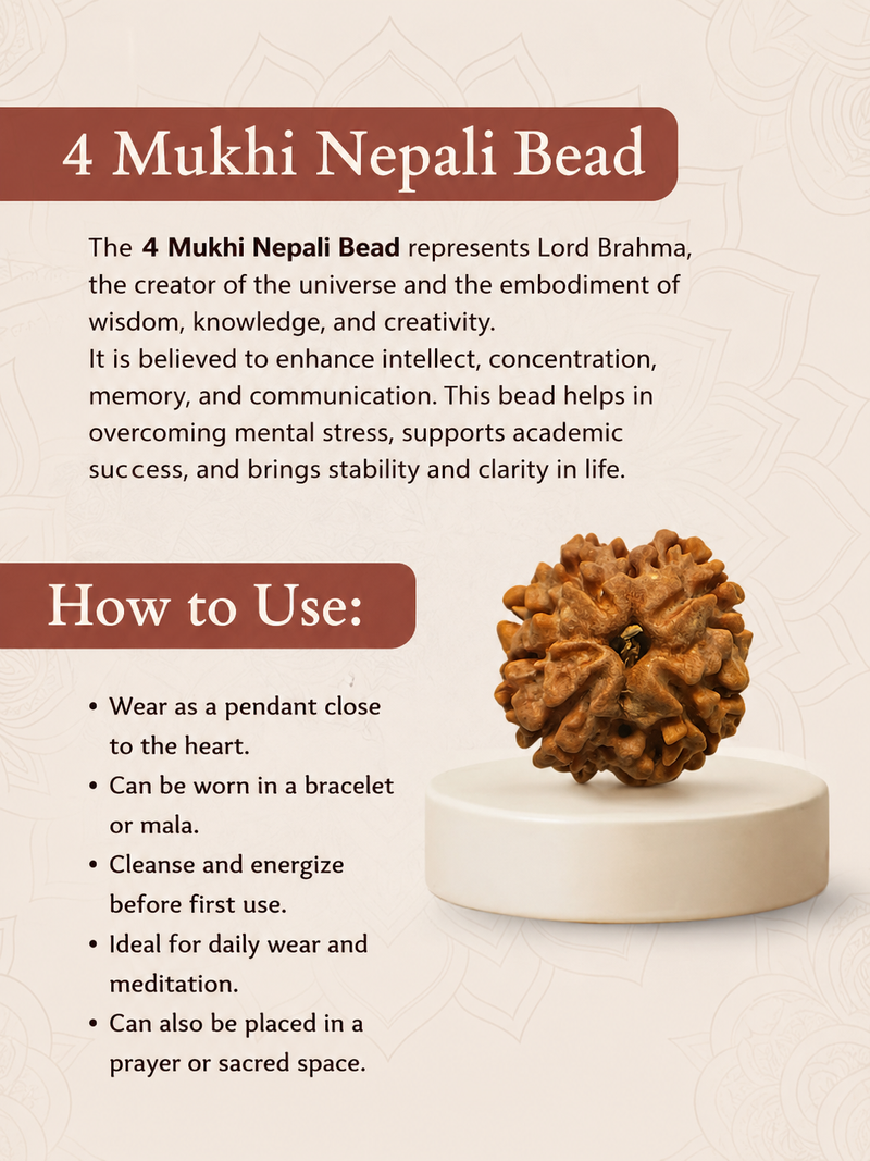 4 Mukhi Nepali Rudraksha for Knowledge & Creativity