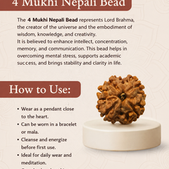 4 Mukhi Nepali Rudraksha for Knowledge & Creativity