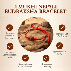 4 Mukhi Nepali Rudraksha Bracelet for Creativity & Focus