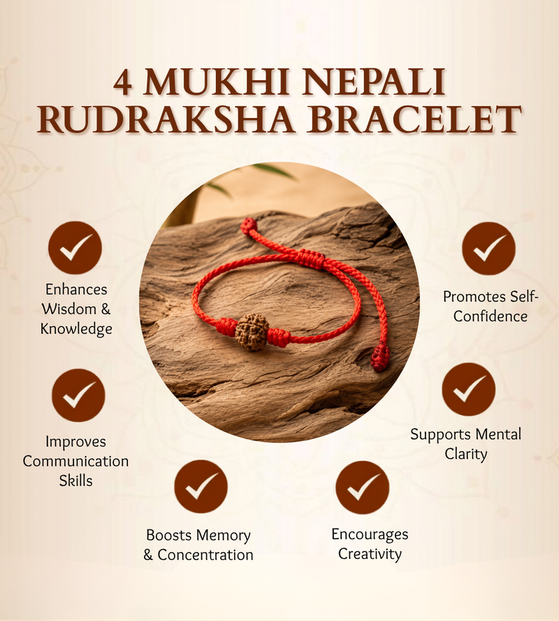 4 Mukhi Nepali Rudraksha Bracelet for Creativity & Focus