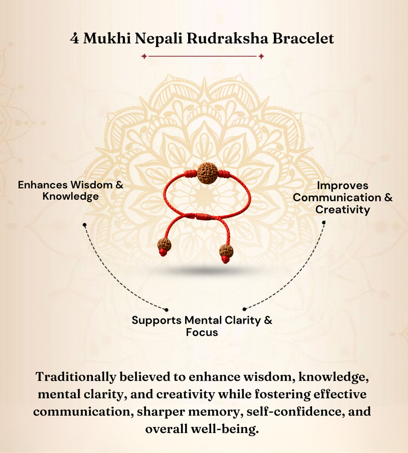 4 Mukhi Nepali Rudraksha Bracelet for Creativity & Focus