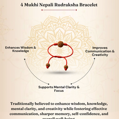4 Mukhi Nepali Rudraksha Bracelet for Knowledge & Creativity
