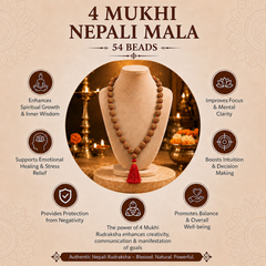 4 Mukhi Nepali Rudraksha Mala for Creativity & Focus