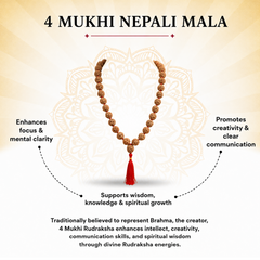 4 Mukhi Nepali Rudraksha Mala for Creativity & Focus