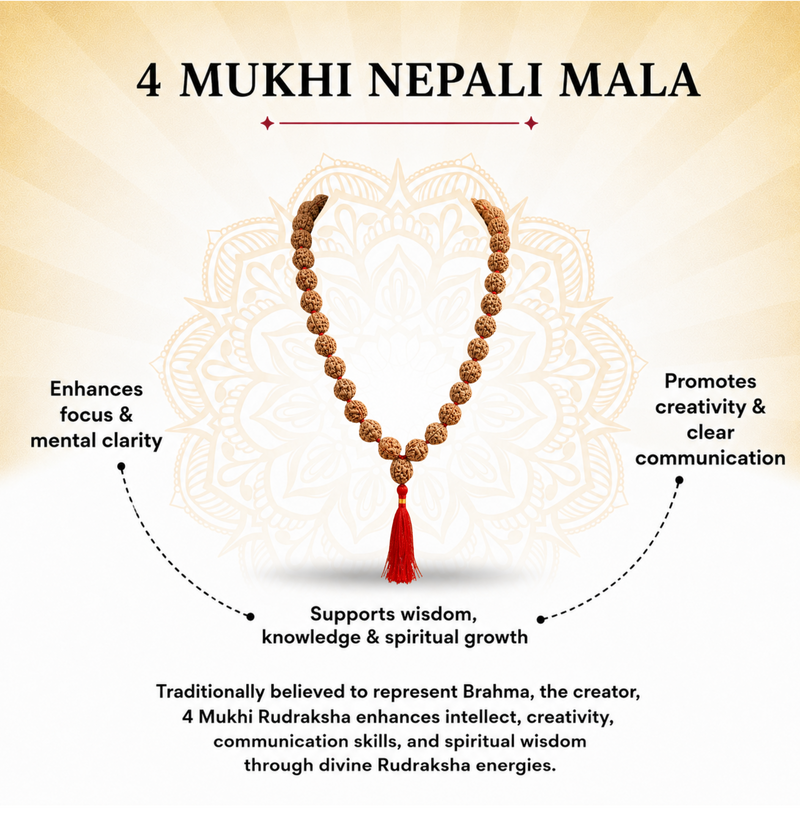 4 Mukhi Nepali Rudraksha Mala for Creativity & Focus
