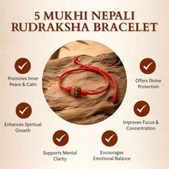 5 Mukhi Nepali Rudraksha Bracelet for Peace & Wellbeing