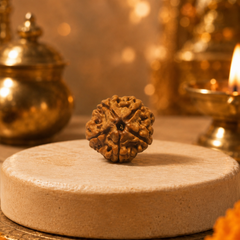 5 Mukhi Nepali Rudraksha Bead for Peace & Meditation