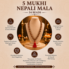 5 Mukhi Nepali Rudraksha Mala for Daily Wellbeing