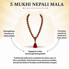 5 Mukhi Nepali Rudraksha Mala for Daily Wellbeing