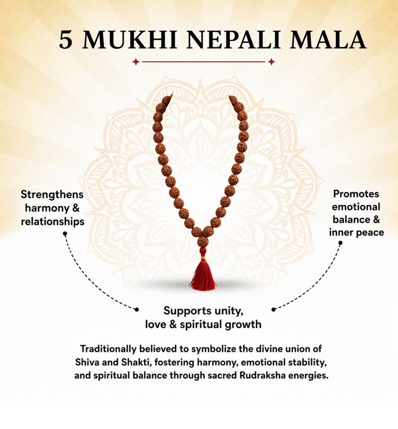 5 Mukhi Nepali Rudraksha Mala for Daily Wellbeing