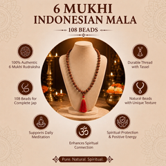 6 Mukhi Indonesian Rudraksha 108 Bead Mala