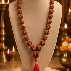 6 Mukhi Nepali Rudraksha Mala 54 Beads GGTL Cert