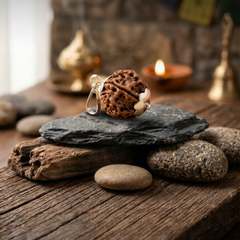 6 Mukhi Nepali Rudraksha with German Silver Cap Pendant