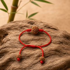 6 Mukhi Nepali Rudraksha Bracelet for Focus & Willpower