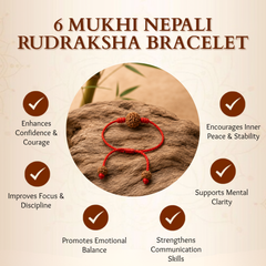 6 Mukhi Nepali Rudraksha Bracelet for Focus & Willpower