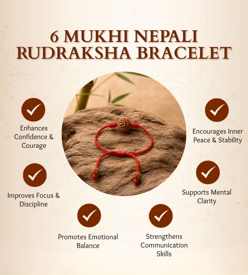 6 Mukhi Nepali Rudraksha Bracelet for Focus & Willpower