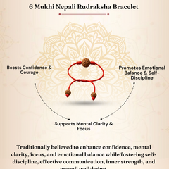 6 Mukhi Nepali Rudraksha Bracelet for Focus & Willpower